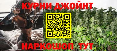 гидра Татарск
