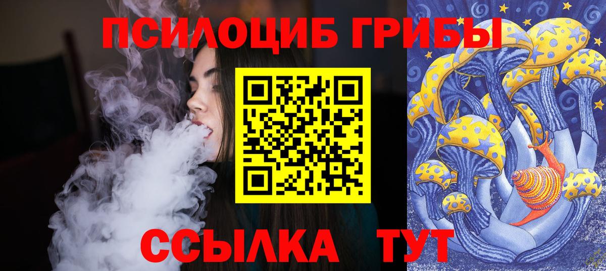 Псилоцибиновые грибы Cubensis Барнаул